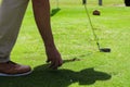 The golfer Royalty Free Stock Photo