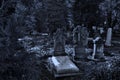 The old Gothic cemetery Royalty Free Stock Photo