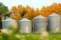 Old grain bins are in the field along the forest in autumn Royalty Free Stock Photo