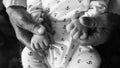 Old grandmother hands holding newborn hands, fourth generation family life. black and white shot, the concept of a family and a ne Royalty Free Stock Photo