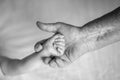 Old grandmother hands holding newborn hands, fourth generation family life. black and white shot, the concept of a family and a Royalty Free Stock Photo