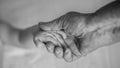 Old grandmother hands holding newborn hands, fourth generation family life. black and white shot, the concept of a family and a Royalty Free Stock Photo