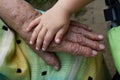 Old grandmothers hands hold young granddaughter hands