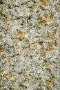 Old granite stone with lichens Royalty Free Stock Photo