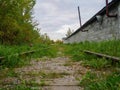 Old grass-covered and bushes railway tracks in the summer Royalty Free Stock Photo