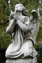 Old grave angel Royalty Free Stock Photo