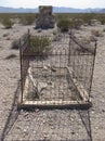 Old Grave in Bullfrog Rhyolite Cemetery, Nevada Desert Royalty Free Stock Photo