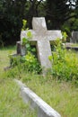 Old grave site