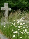 Old grave with wild flowers and cross