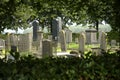 Old grave yard Royalty Free Stock Photo