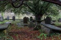 Old grave yard Royalty Free Stock Photo