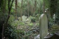 Old graves in an ancient cemetery