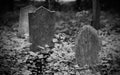 An old gravestone in the cemetery Royalty Free Stock Photo