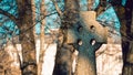 Old gravestone cross in the sunlight