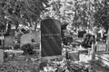 Old gravestone from before World War II. Artistic look in black Royalty Free Stock Photo