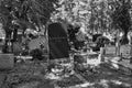 Old gravestone from before World War II. Artistic look in black Royalty Free Stock Photo