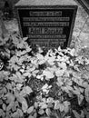 Old gravestone from before World War II. Artistic look in black. Royalty Free Stock Photo