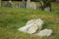 Old Gravestones in Cemetery Graveyard