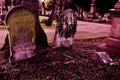 Old gravestones at Gothic Cemetery