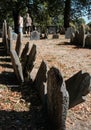 Old gravestones made of slate seen within a Boston, USA graveyard in late autumn.