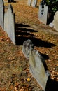 Old gravestones made of slate seen within a Boston, USA graveyard in late autumn.