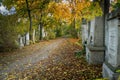 Old gravestones in St. Marx Cemetery in autumn