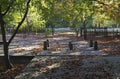 Graveyard in autumn Royalty Free Stock Photo