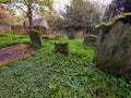 Old Graveyard Barons Haugh Nature Reserve Motherwell. Scotland.UK.