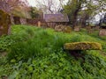 Old Graveyard Barons Haugh Nature Reserve Motherwell. Scotland.UK.