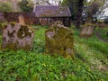 Old Graveyard Barons Haugh Nature Reserve Motherwell. Scotland.UK.