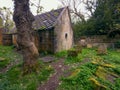 Old Graveyard Barons Haugh Nature Reserve Motherwell. Scotland.UK.