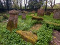 Old Graveyard Barons Haugh Nature Reserve Motherwell. Scotland.UK.