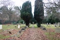 Old Graveyard with Broken and Fallen Crosses and Graves in Overgrown Grass Spooky