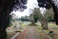 Old Graveyard with Broken and Fallen Crosses and Graves in Overgrown Grass Spooky