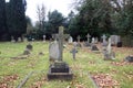 Old Graveyard with Broken and Fallen Crosses and Graves in Overgrown Grass Spooky