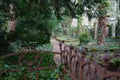 Old graveyard with ivy on the graves and a rusty fence in the blurry foreground Royalty Free Stock Photo