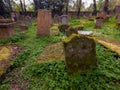 Old Graveyard Barons Haugh Nature Reserve Motherwell. Scotland.UK.