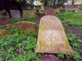 Old Graveyard Barons Haugh Nature Reserve Motherwell. Scotland.UK.