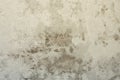 An old gray brick wall with nice texture Royalty Free Stock Photo