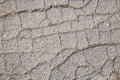 Old cracked asphalt texture or background Royalty Free Stock Photo