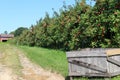 Old gray crate with apple trees, dirt path and barn in the background Royalty Free Stock Photo