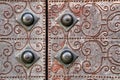 Gray metal door with wrought iron details Royalty Free Stock Photo