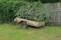 An old gray metal trailer stands on green grass overgrown with burdocks