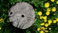 Old gray millstone Royalty Free Stock Photo