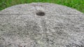 Old gray millstone Royalty Free Stock Photo