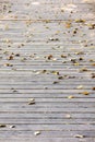 Gray planks of wooden flooring covered with fallen dry yellow autumn leaves