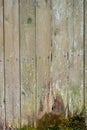 Old gray red-brown fence of wooden planks covered with moss in the style of rustic, grunge, old fashion with nails Royalty Free Stock Photo