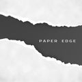 Old gray torn paper isolated over black background. Torn paper edge. Paper texture Royalty Free Stock Photo