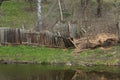 Old gray wooden broken fence in green grass