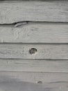 Old gray wooden fence texture background. natural wooden dark empty room with messy and grungy crack beech Royalty Free Stock Photo